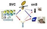 SVConS