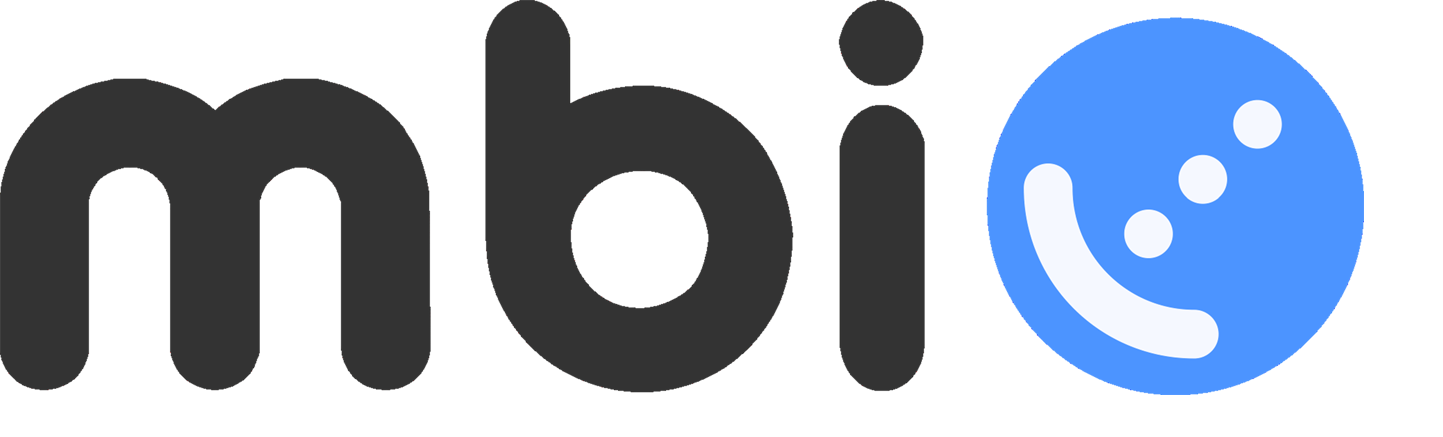 M.B.I. Srl